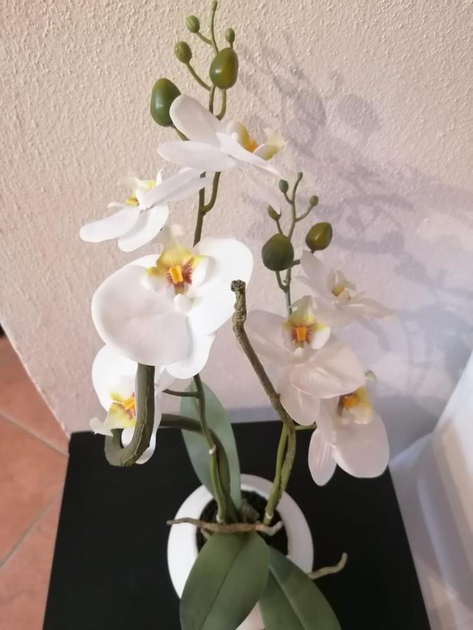 Appartement Perla Del Golfo à Lerici Extérieur photo